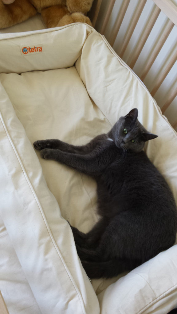 tetra tea tree cot mattress