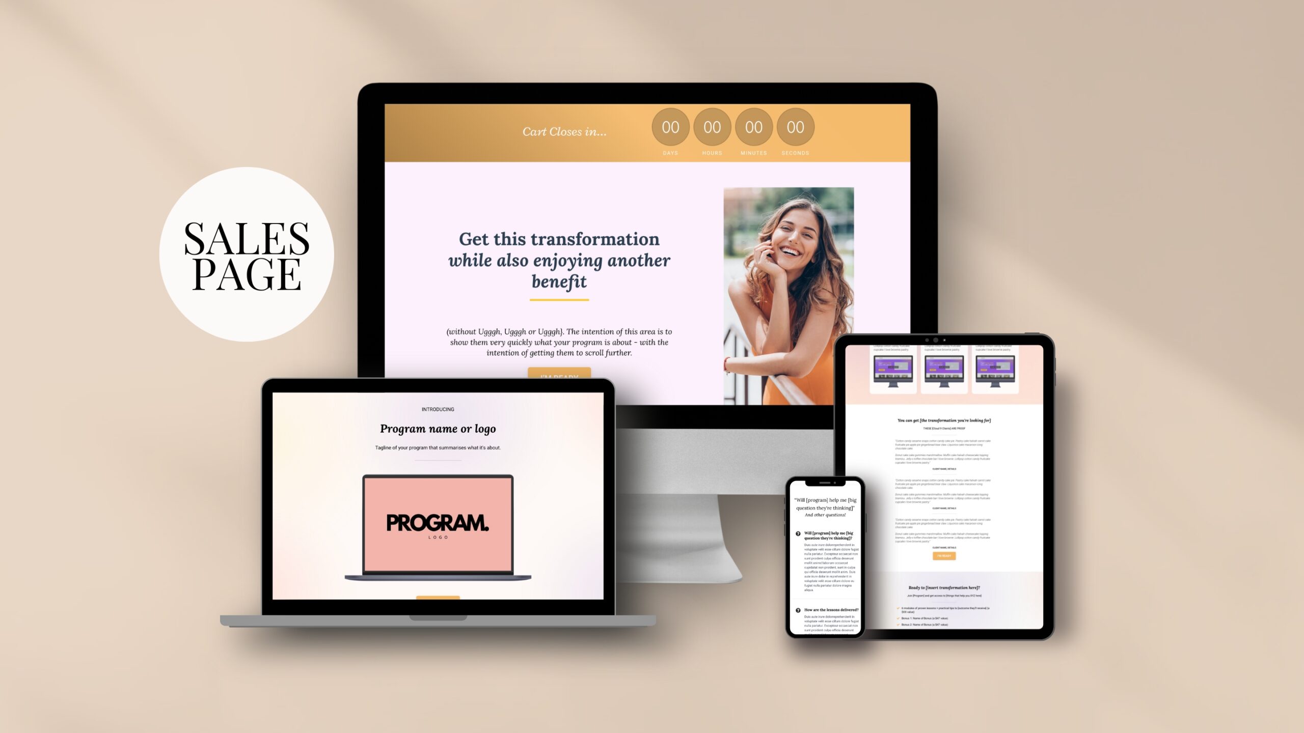 Preview of the sales page template