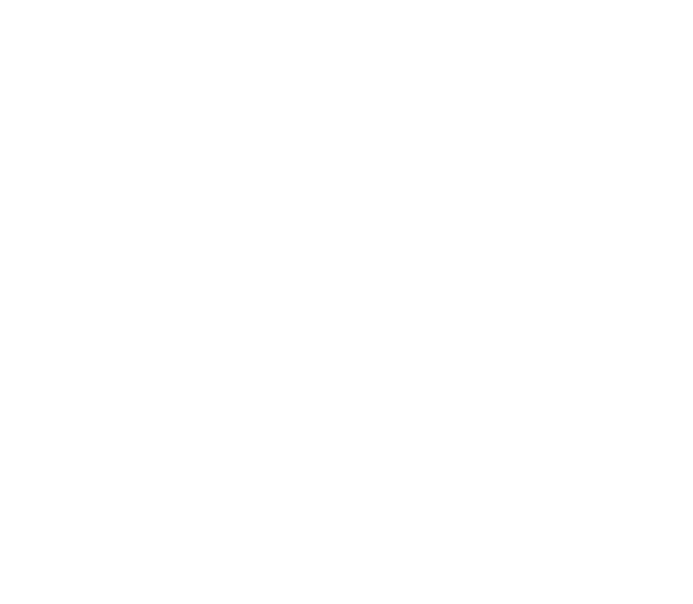 Robyn Birkin